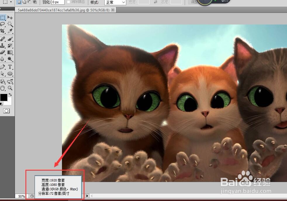 Ps怎么看图片尺寸