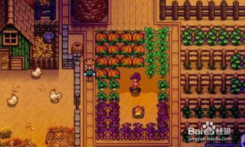 关于TGP《星露谷物语》疑问的攻略