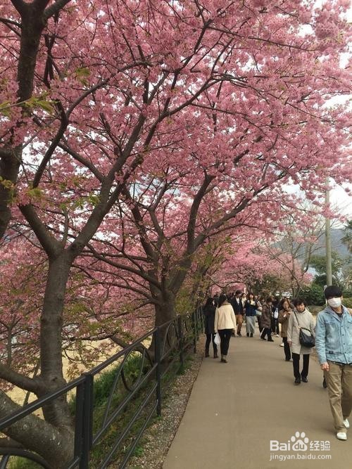 春天时节如何预防过敏？