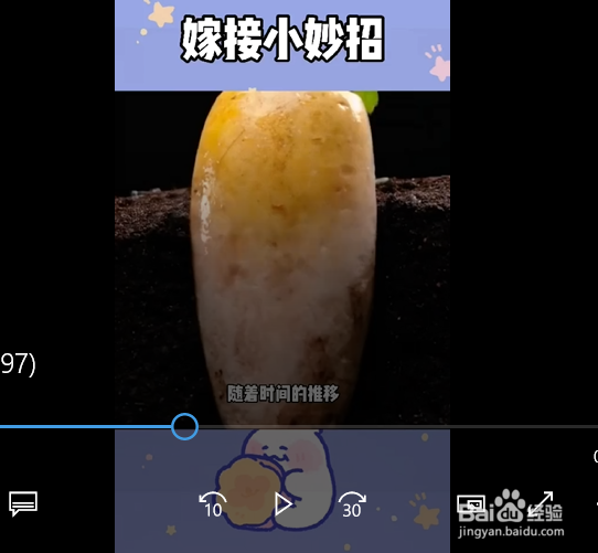 嫁接植物的小妙招