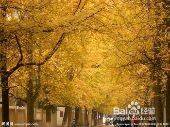 高血脂患者饮食需要注意什么