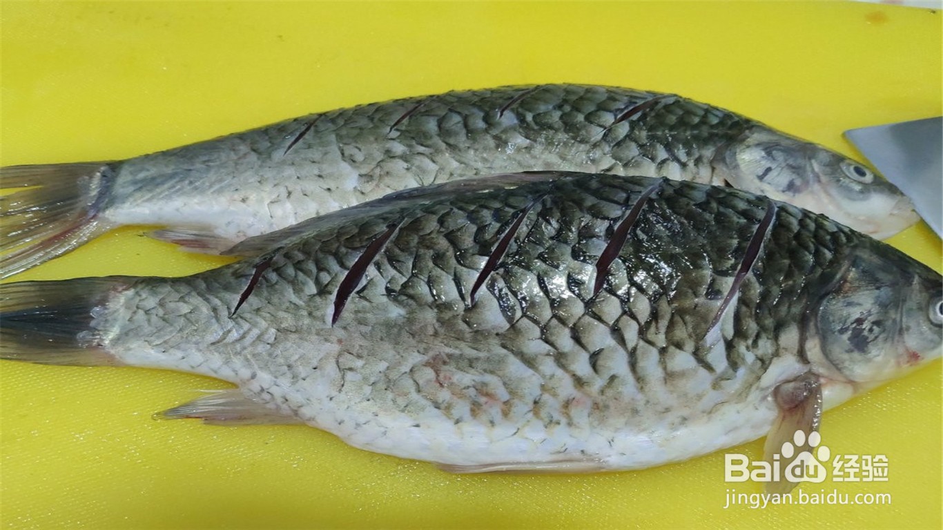 如何制作焖烧鲫鱼？