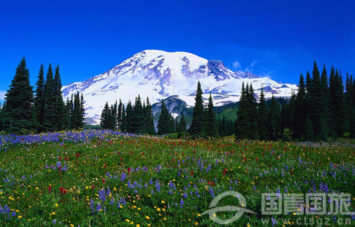 云南旅游将我们的爱留在丽江