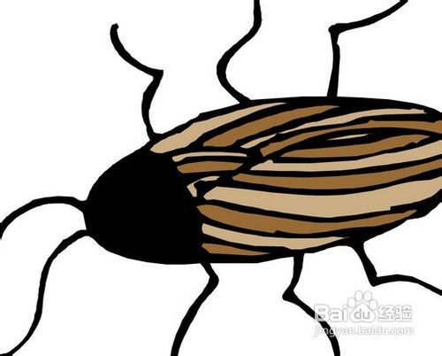 怎样消灭蟑螂