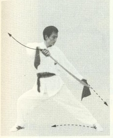 赵堡太极双刀舞花刀图解