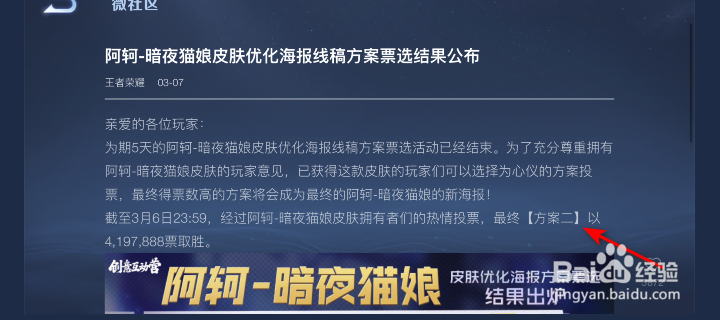王者荣耀暗夜猫娘海报方案票选结果怎么查看