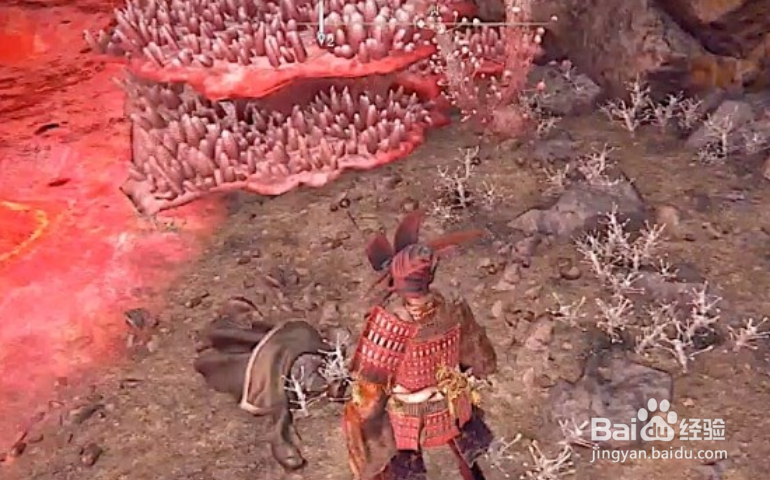 《艾尔登法环》腐败湖地图攻略