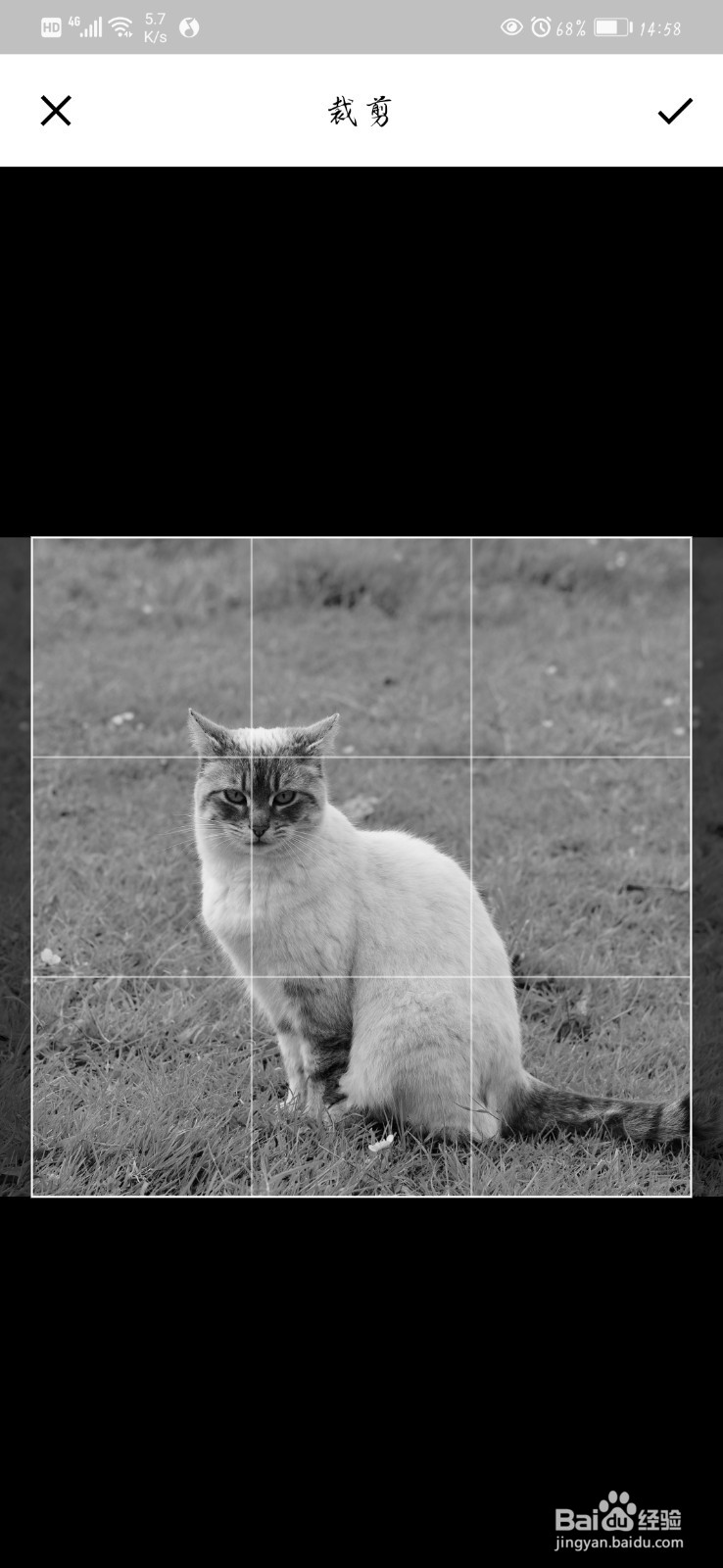 在手机上怎么裁剪图片?