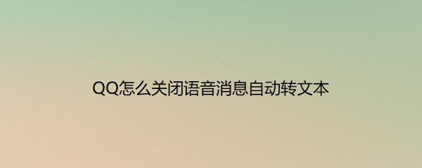 <b>QQ怎么关闭语音消息自动转文本</b>