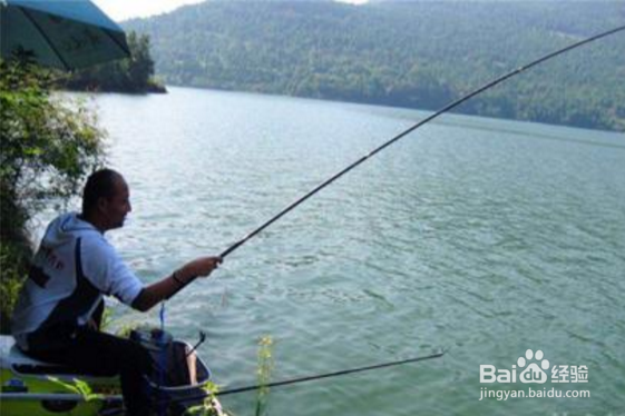台钓钓鱼搭配线技巧，使用手竿线组注意事项