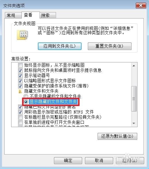 如何查看隐藏的文件夹或文件