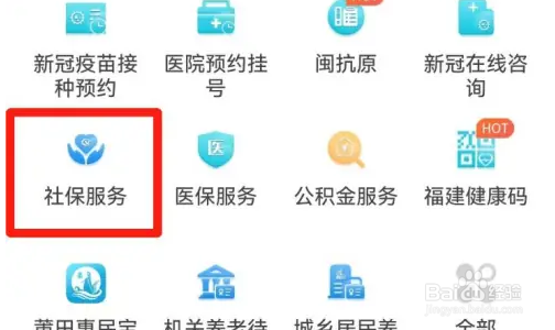 闽政通查询社保缴纳明细步骤