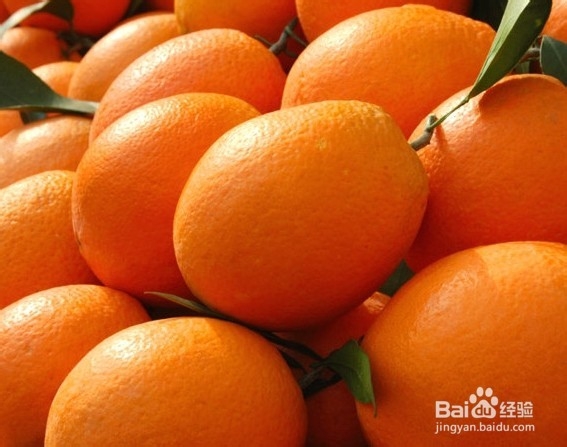 儿童养肺的最佳水果