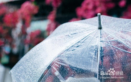 2021年白城成考大专本科报名