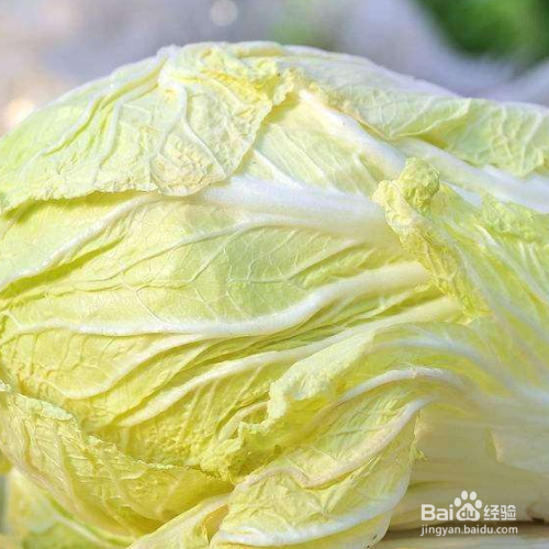 怎样去除白菜上的虫子小妙招