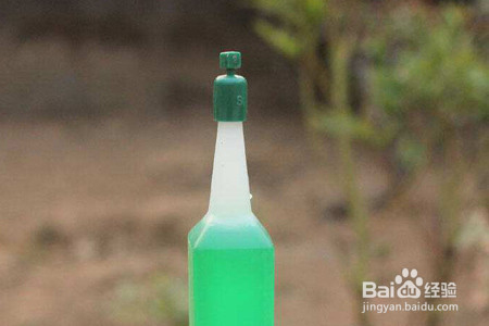 睡莲插花瓶里怎么养