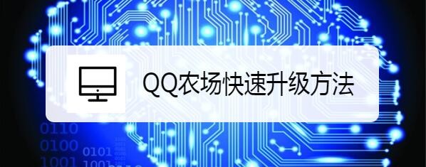 QQ农场快速升级方法