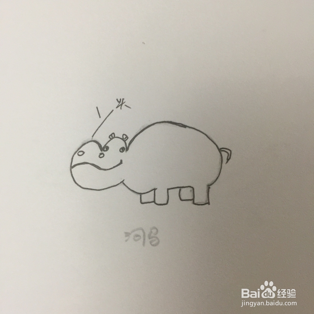 如何画安详的和马