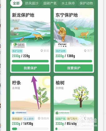 怎么在蚂蚁森林中种树