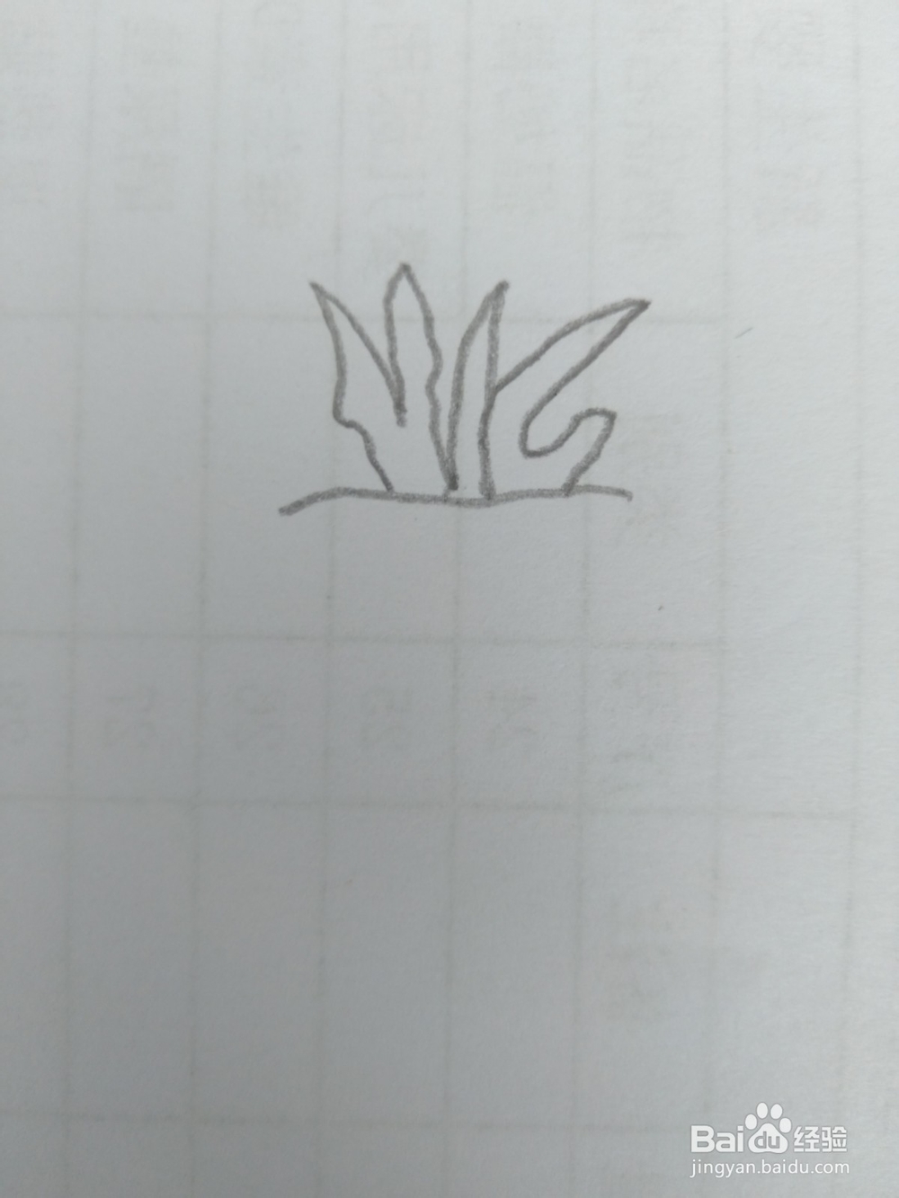 简笔画柿子画法九
