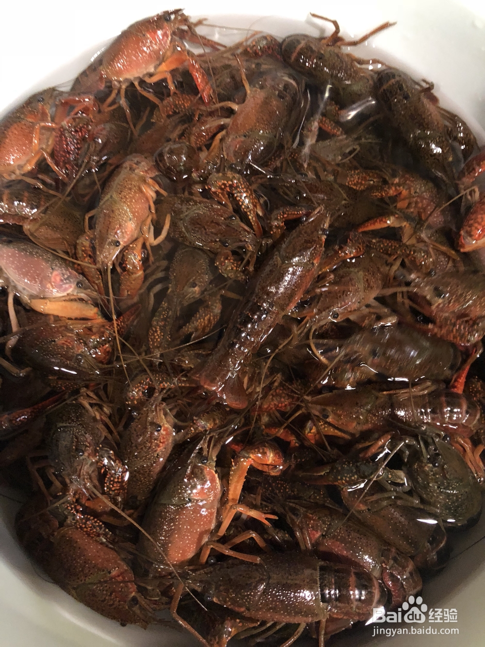 蒜泥小龙虾的天下