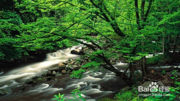 怎样教育小孩子？