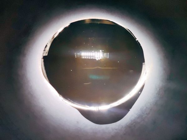 肉沫粉丝鸡毛菜