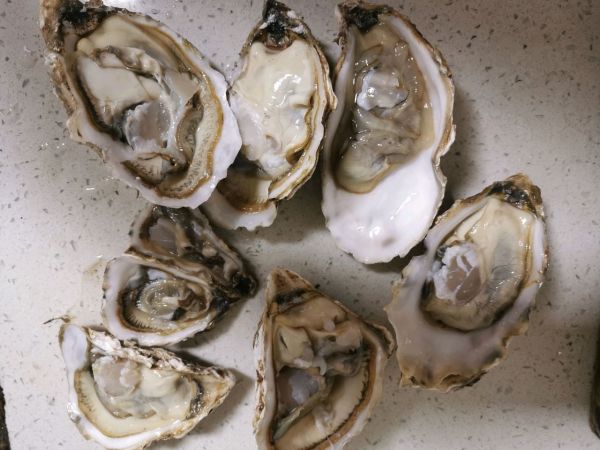 蒜蓉粉丝烤生蚝