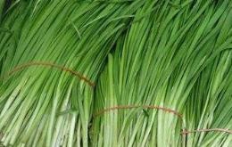 如何鉴别韮菜的嫩和老?