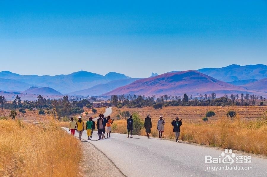 马达加斯加怎么玩