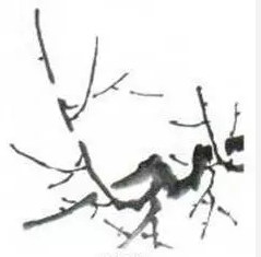 国画梅花的画法攻略