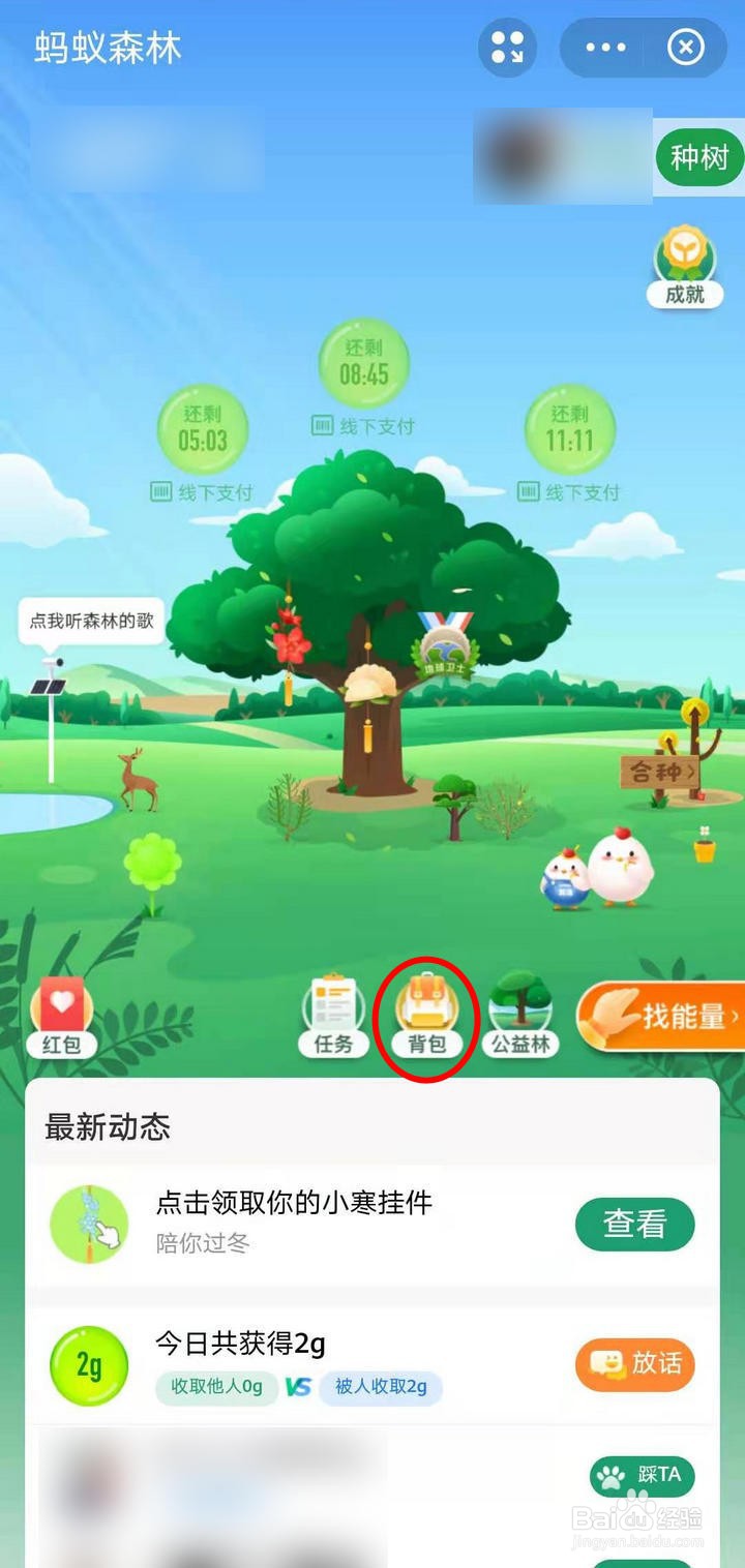 支付宝蚂蚁森林的小寒挂件如何获取