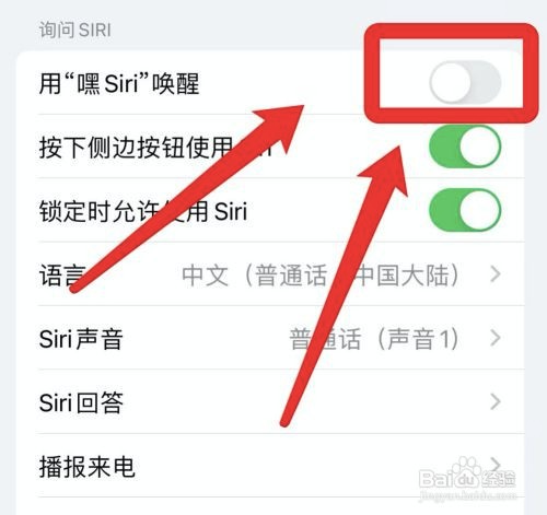 怎么关闭苹果13语音控制