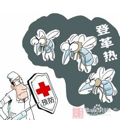 登革热的认识及防治事项