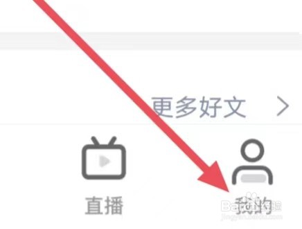 我的钢铁如何设置字体调整
