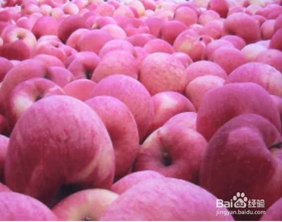 苹果怎样吃出健康 常见水果 苹果食用 宜 忌 慎