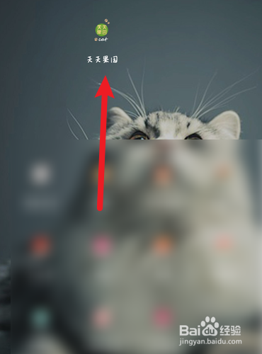 天天果园怎么退出登录？