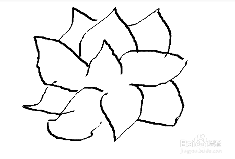画图工具怎么画一朵荷花