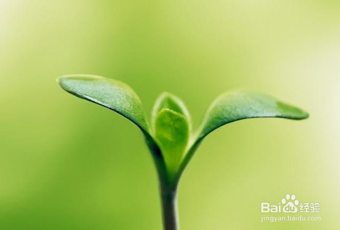 如何防止青少年患上近视？养成不良的行为习惯!