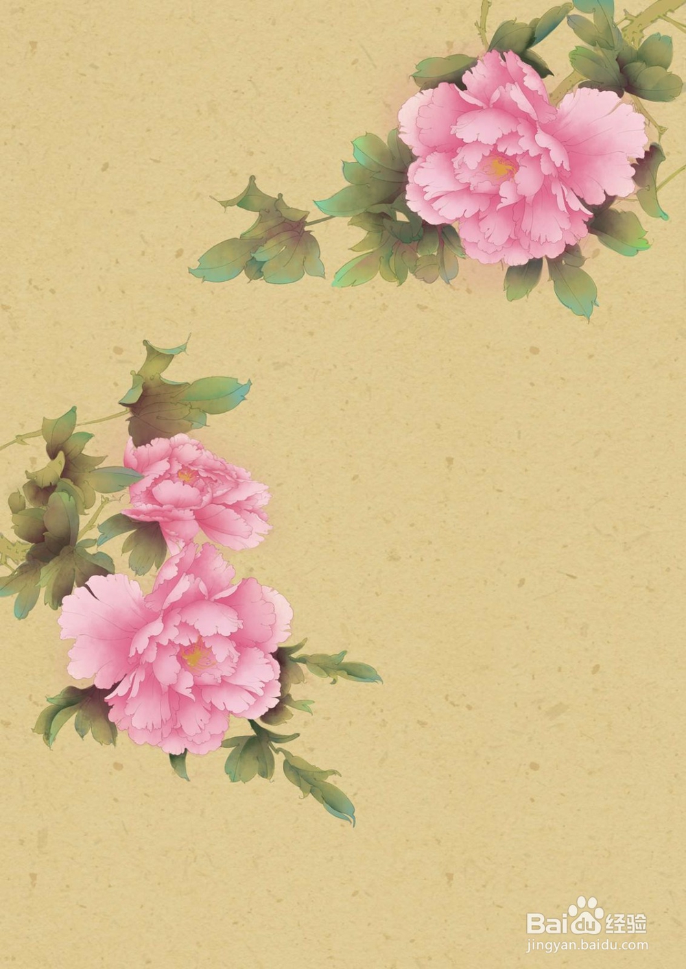 盆栽牡丹的诀窍