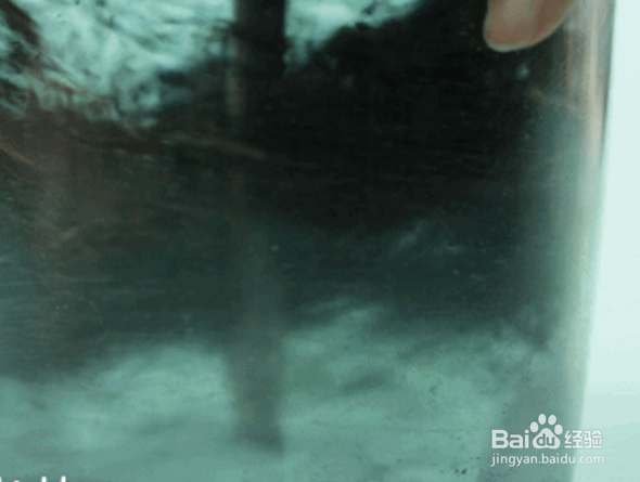 8个月宝宝补钙辅食----紫菜芝麻松饼