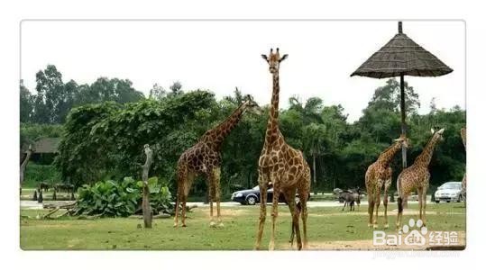 长沙有哪些好玩的地方