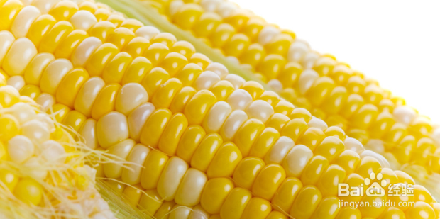 软化血管的食物及功效