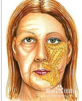 怎么瘦脸，如何快速瘦脸