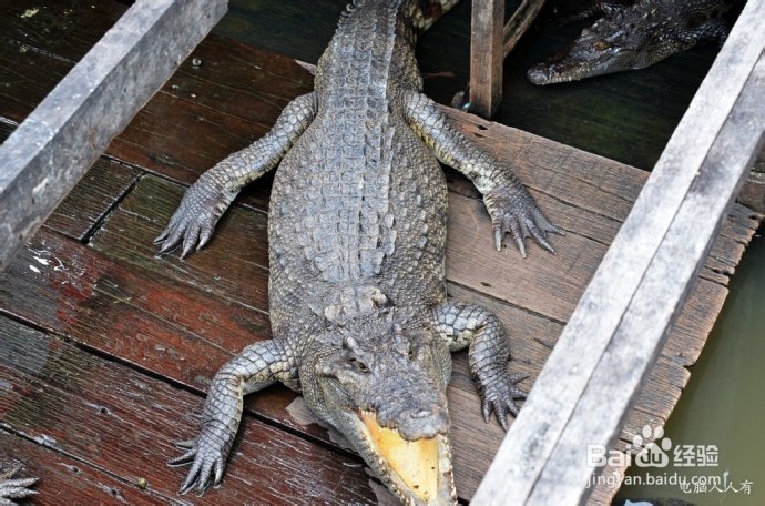 柬埔寨游记：[1]平民帝都亲历记