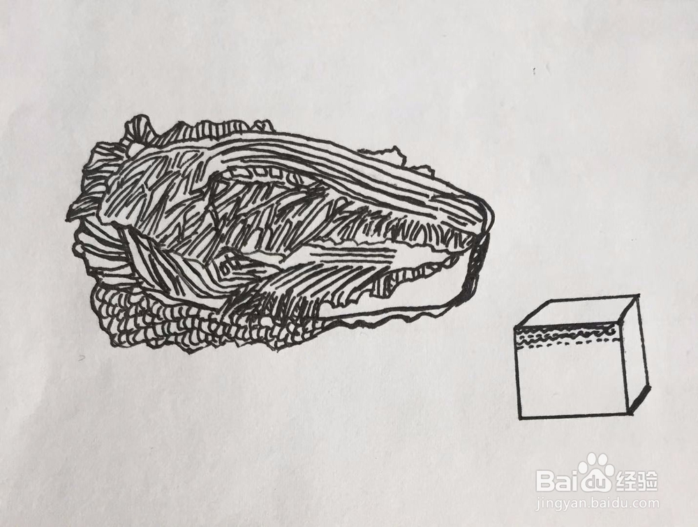 茉莉手绘之白菜与豆腐