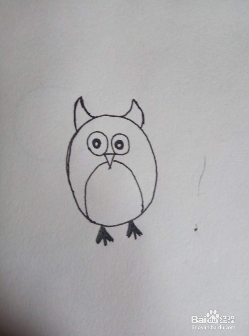 最胖猫头鹰简笔画