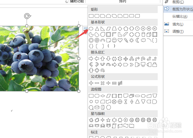 word2007如何裁剪图片