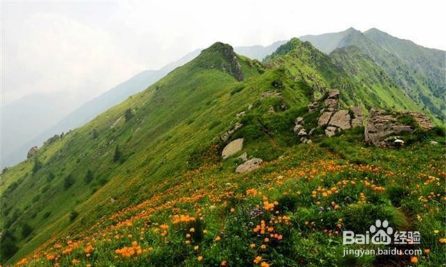 河北灵山风景区旅游怎么样