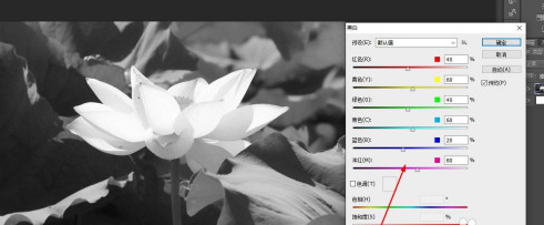 Photoshop如何将彩色照片变成黑白照片